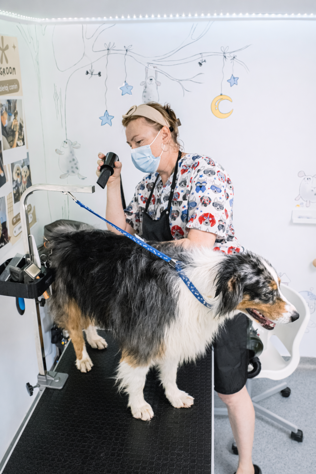 Nataliia Filatkina, pet groomer